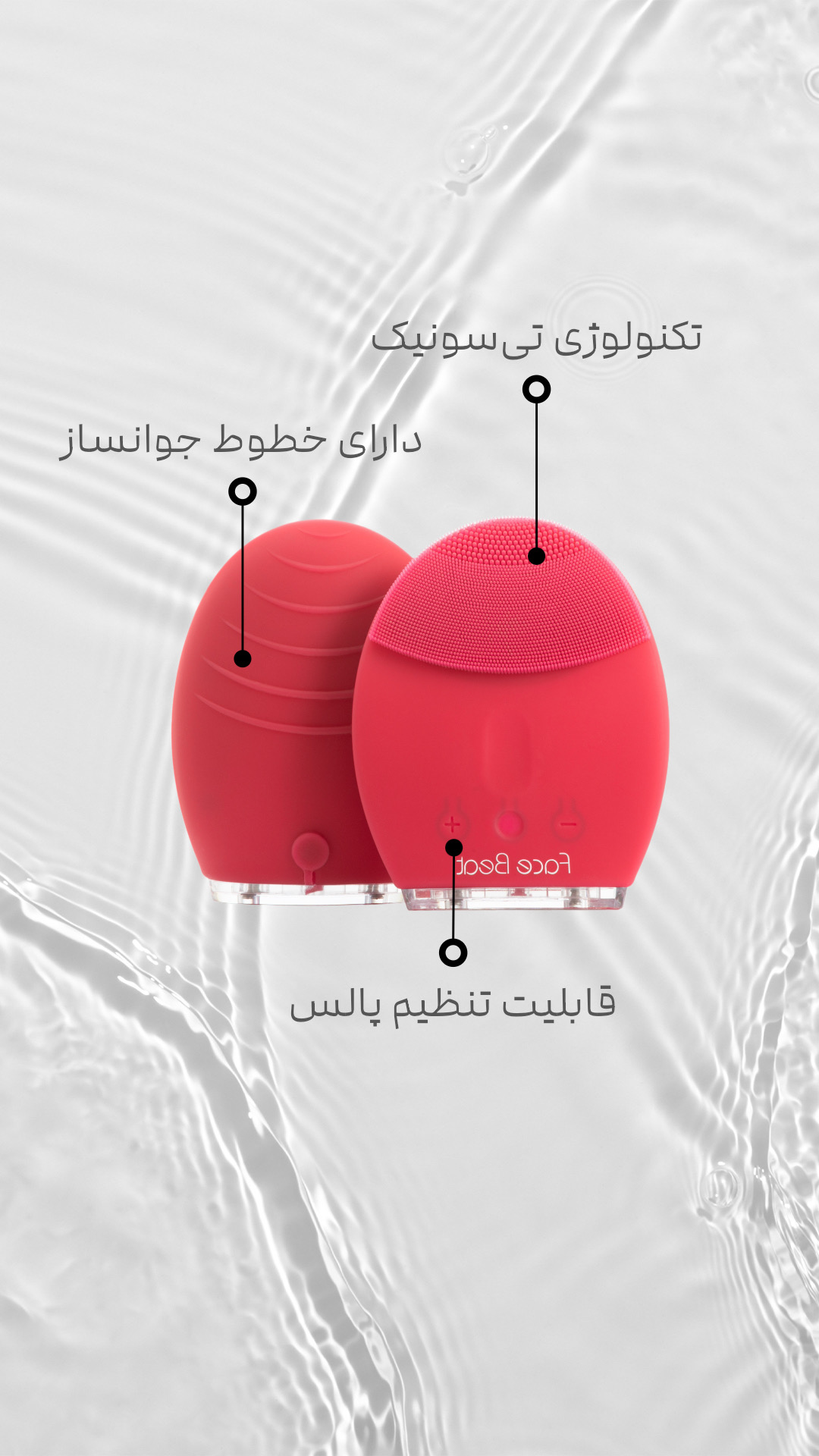 فیس بیت سرخابی همراه با توضیحات